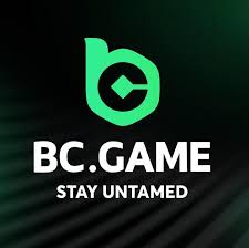 Explore the Exciting Features of BC.Game Online Casino Platform